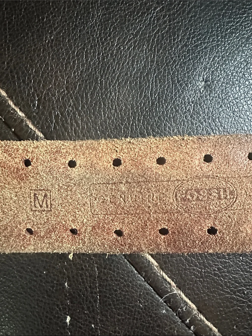 Fossil Brown Leather Studded Belt with Silver Ring Buckle